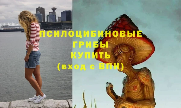 молекула духа Бугульма