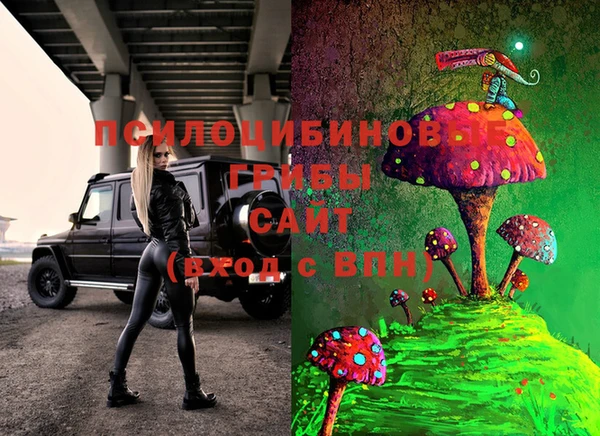 гидра Волосово