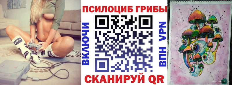 Псилоцибиновые грибы GOLDEN TEACHER  наркота  Бородино 